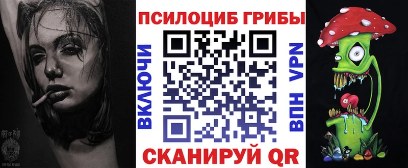 где можно купить наркотик Гдов ОМГ ОМГ tor Галлюциногенные грибы прущие грибы